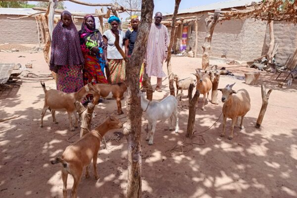 Mission Mali - Février/Mars 2024