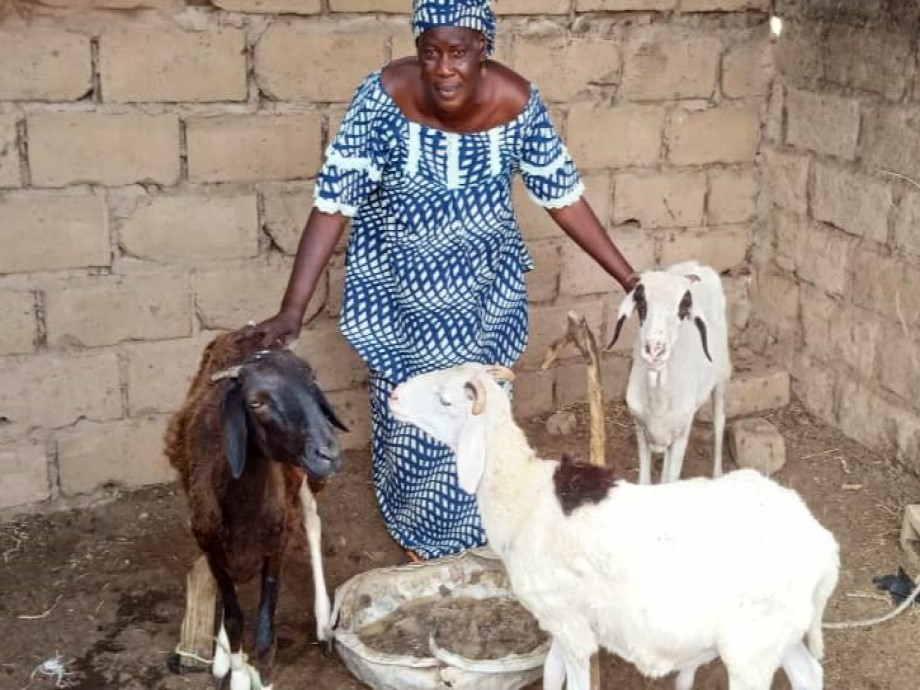 Clôture du Projet – Meckhé Ovins / Poules – Sénégal