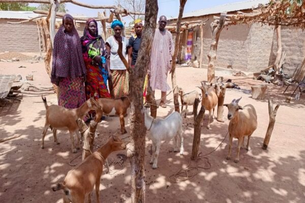 Nouvelles de Projets - Les femmes de la coopérative de Maféya au Mali voient les premiers succès