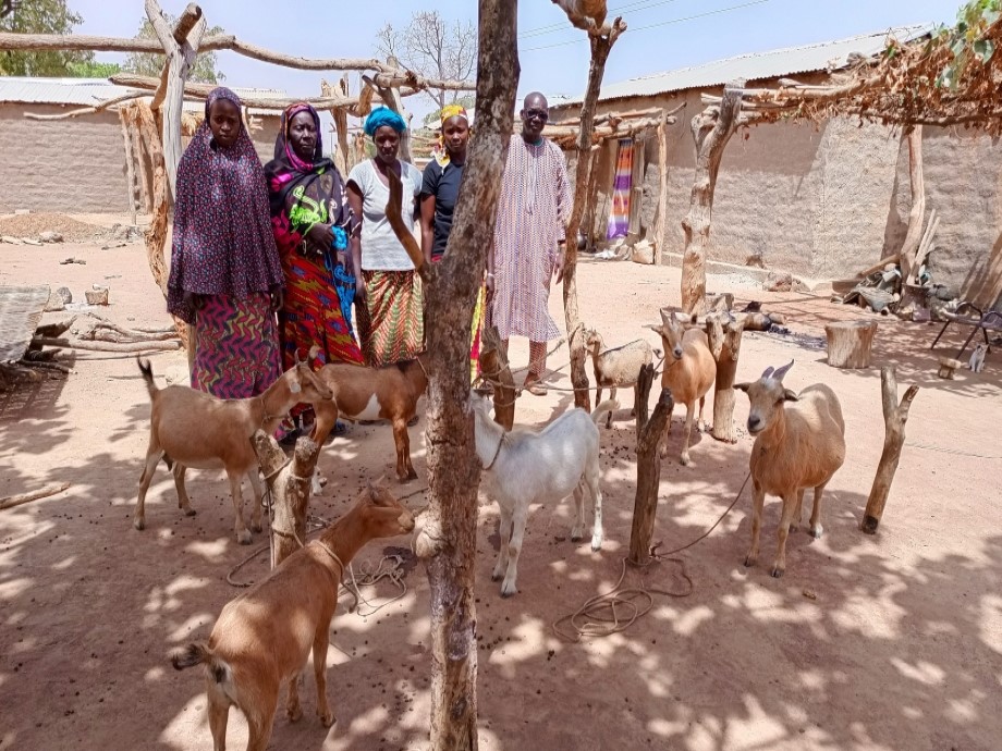 Nouvelles de Projets – Les femmes de la coopérative de Maféya au Mali voient les premiers succès