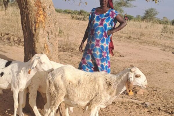 À Tordione, les femmes élèvent la résilience