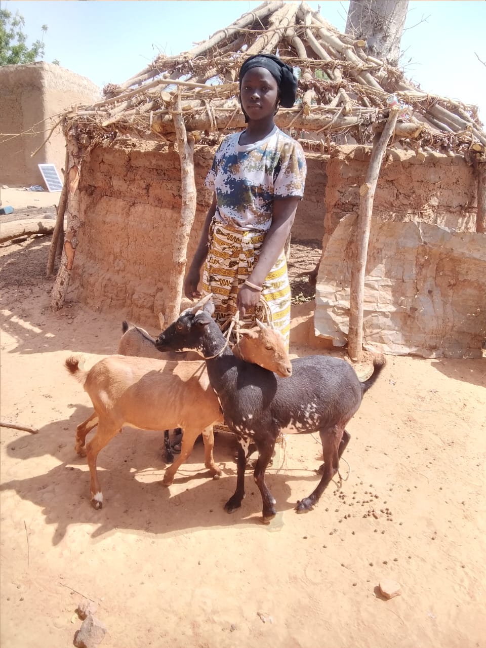 À Mafeya, les femmes avancent avec leurs chèvres