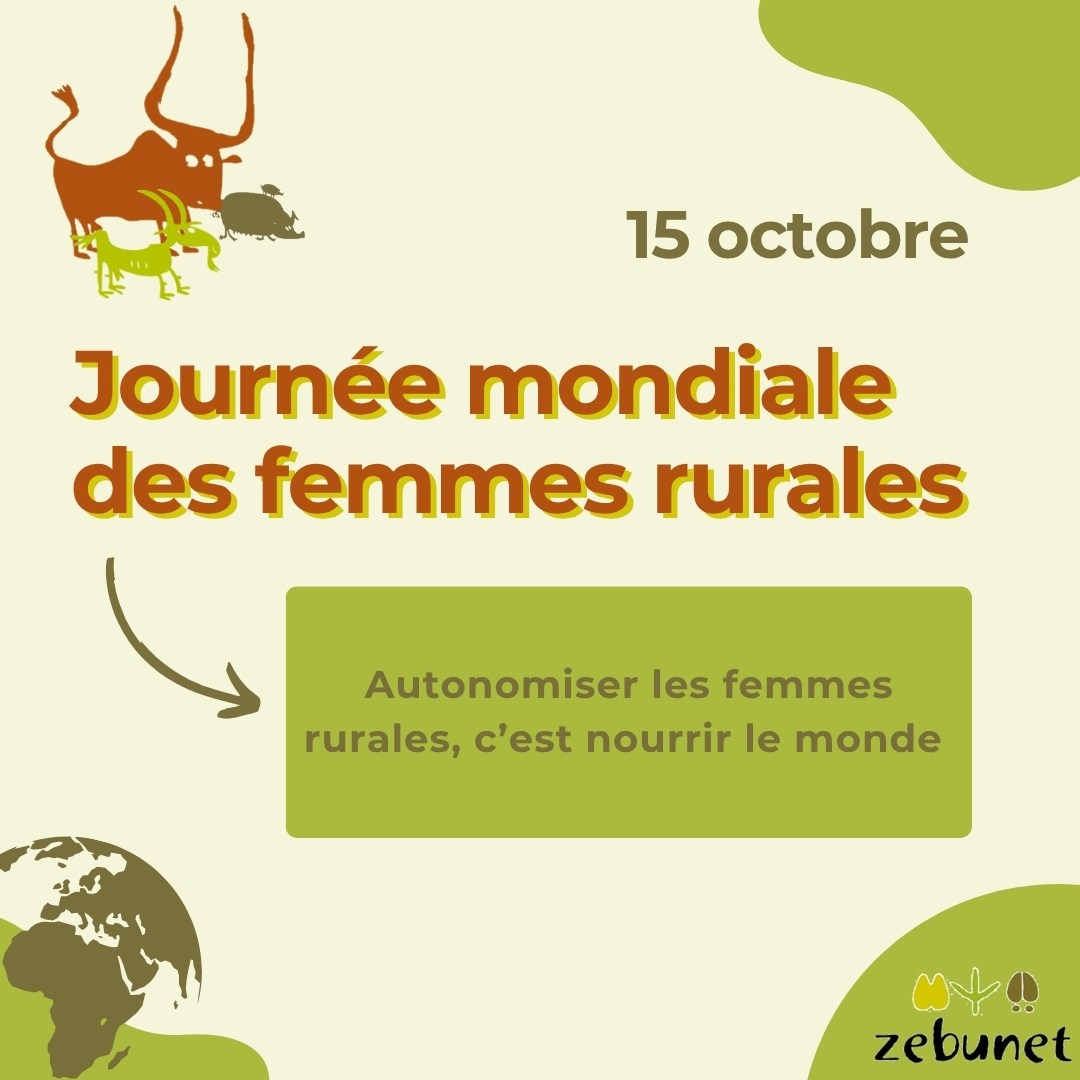 Trois journées mondiales, un même engagement : agir pour l’autonomie et la dignité